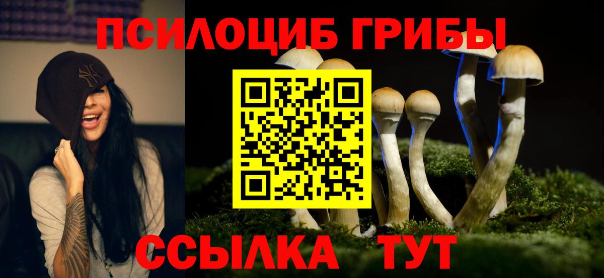Галлюциногенные грибы Psilocybe Трёхгорный